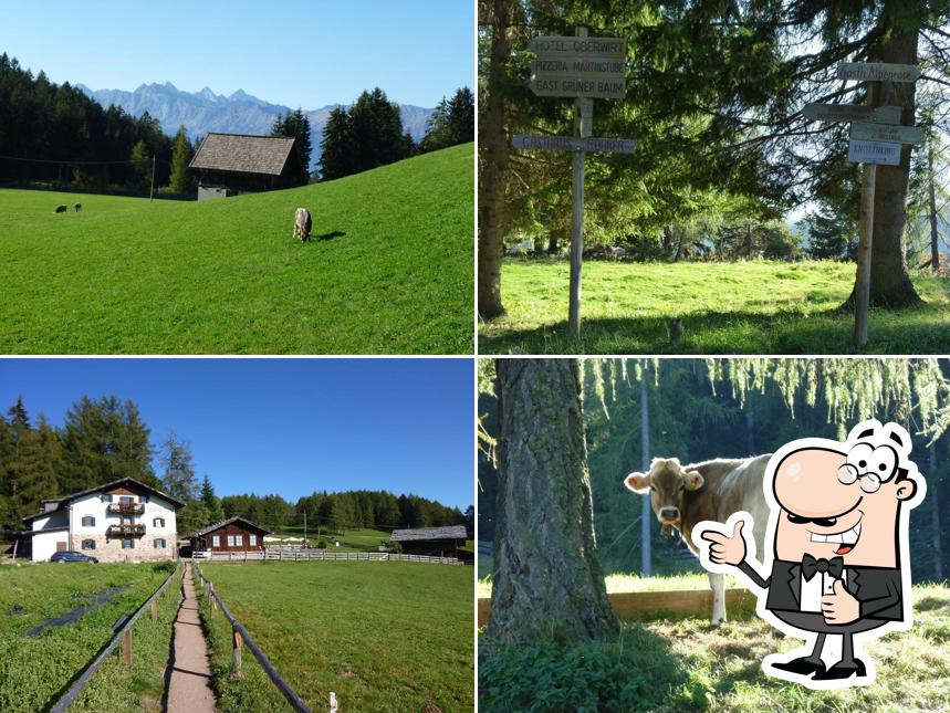 Leadner Alm