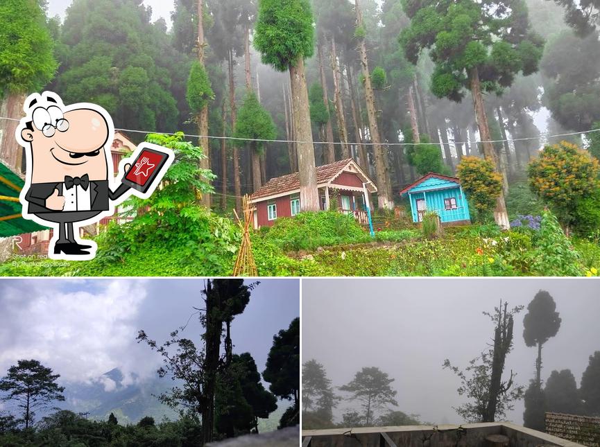 You can get some fresh air at the outside area of Nathula Forest Canteen, WBFDC