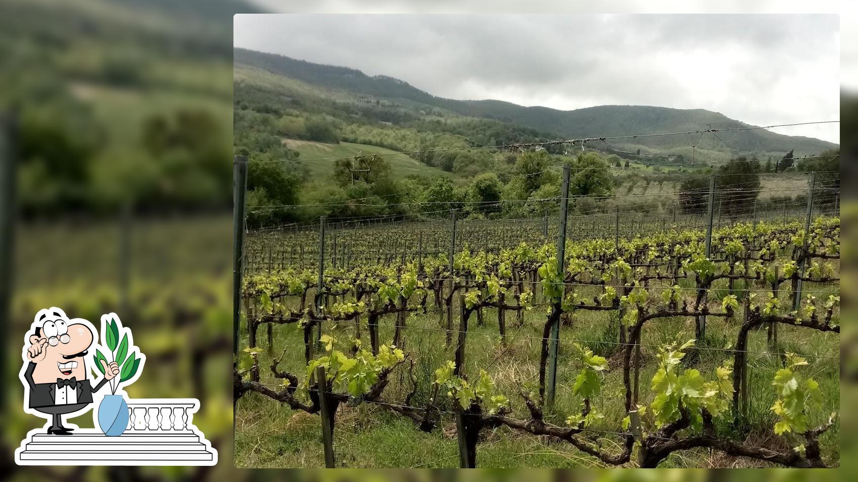Vini Naturali di Toscana - vendita diretta