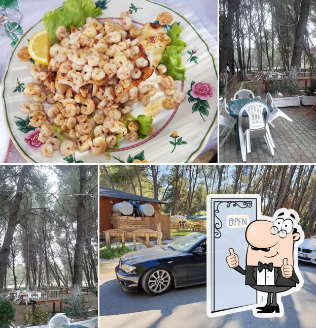 Bar Restorant BENI Triport