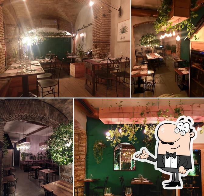 Clorofilla Cucina & Distillati