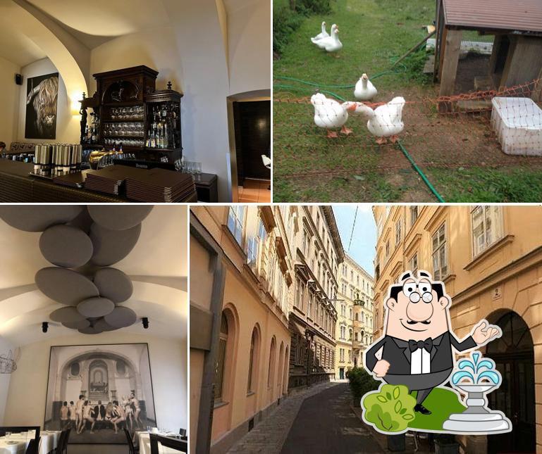 Jetez un coup d’œil à quoi ressemble Entler Ein Restaurant à l'extérieur