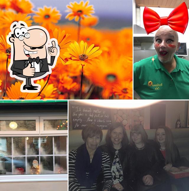 Sunflower Cafe in Darlington Restaurant reviews