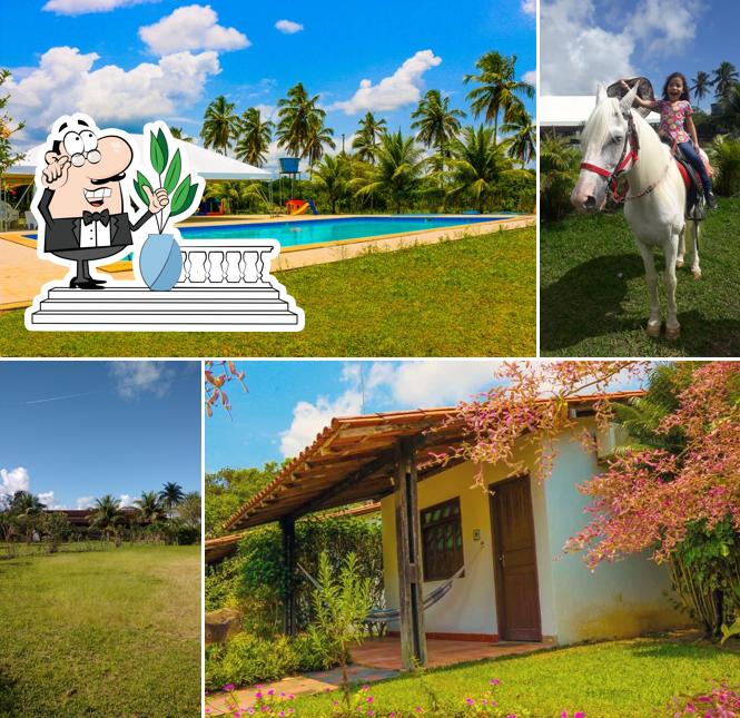 Hotel Fazenda EcoVille, Brasil - Avaliações de restaurantes