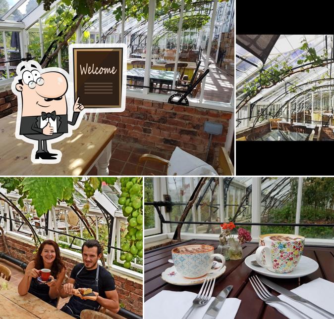 The Vinehouse Cafe at Helmsley walled Garden in Helmsley Restaurant