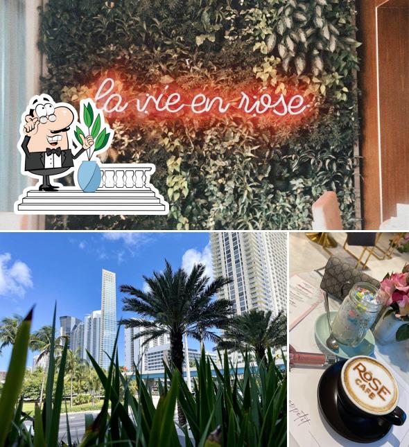 List 95+ Pictures rose cafe sunny isles beach photos Stunning