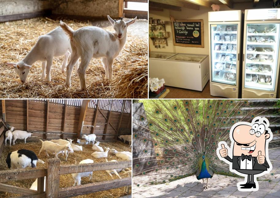 Boerderij 't Geertje