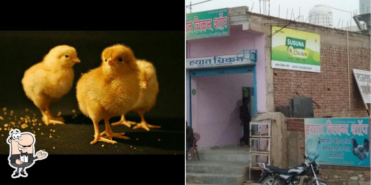 HAYAAT CHICKEN SHOP