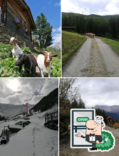 Tischleralm
