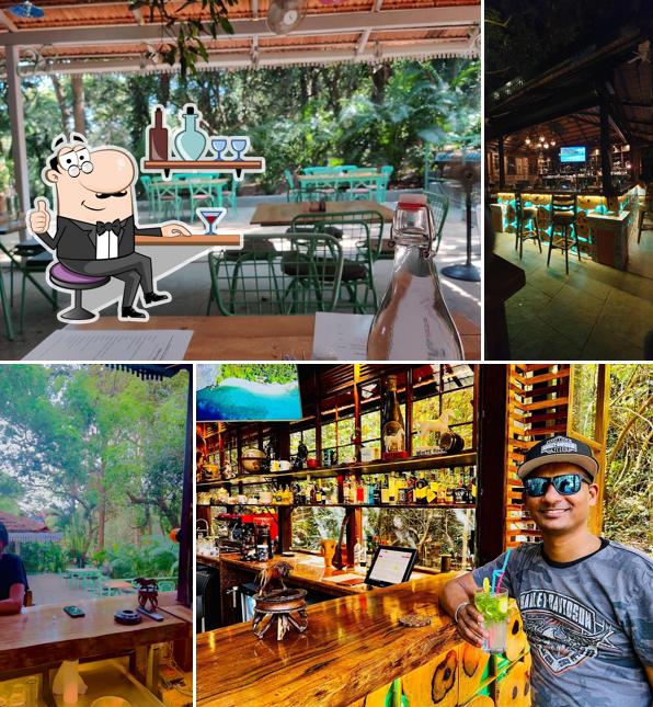 Jungle Café Goa