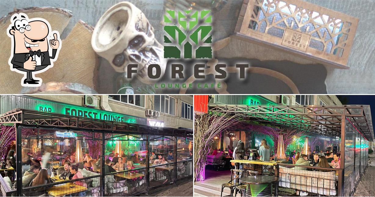 Это изображение паба и бара "Forest lounge"