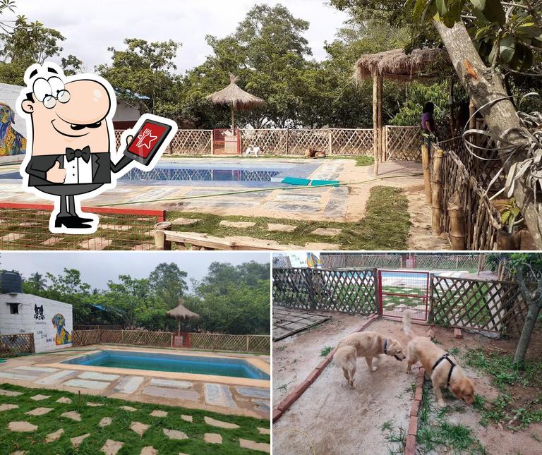 Cafedeperro A/C pet boarding/swimming and grooming, India Restaurant