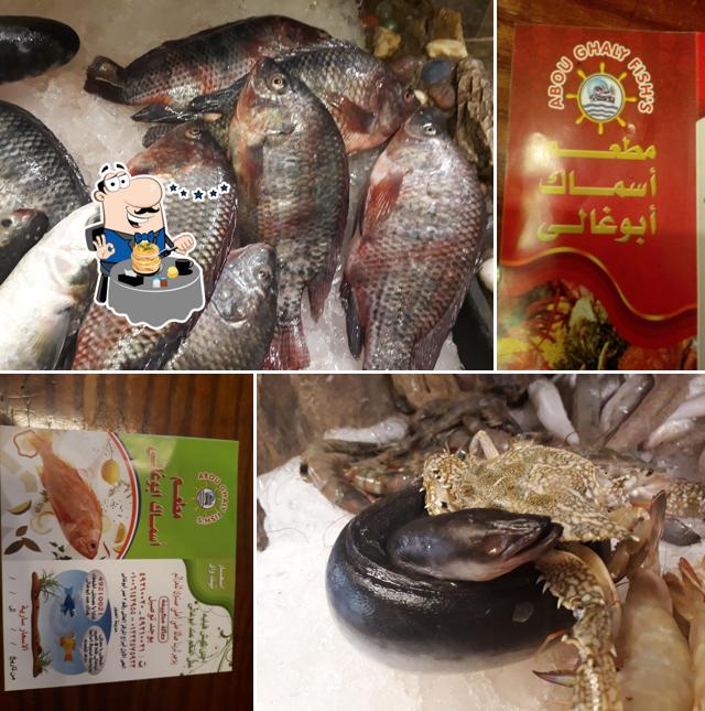 اسماك أبو غالي