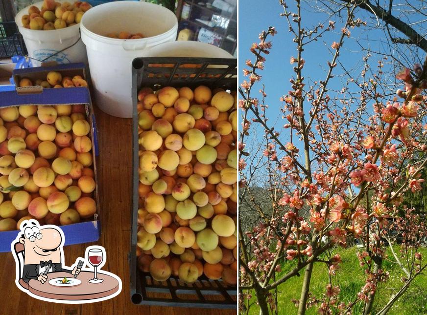 Cibo al Agriturismo Colline Di Rossoli