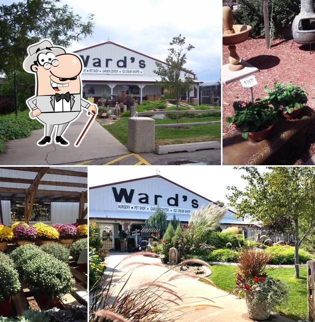 Ward's Garden Center & Cafe in Garden City Restaurant menu and reviews
