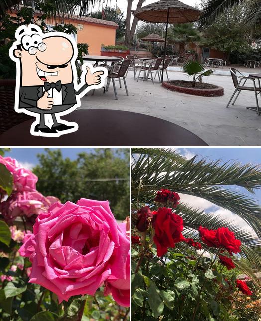Restaurant Le Pin