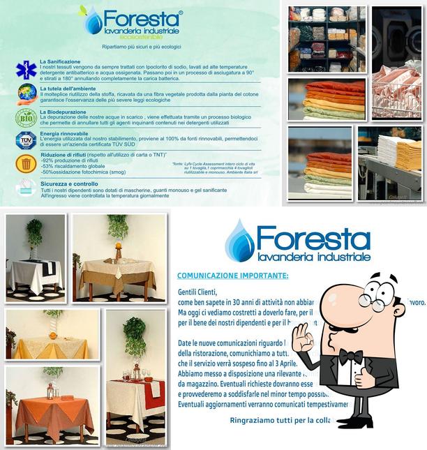 Foresta Lavanderia Industriale