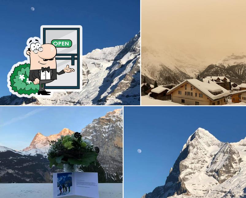 Eiger Guesthouse Mürren
