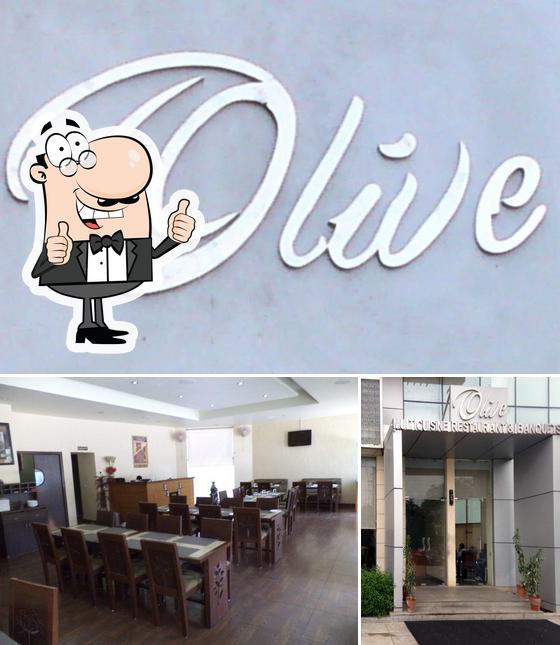 Olive Multicuisine Restaurant, Jaipur Restaurant menu and reviews