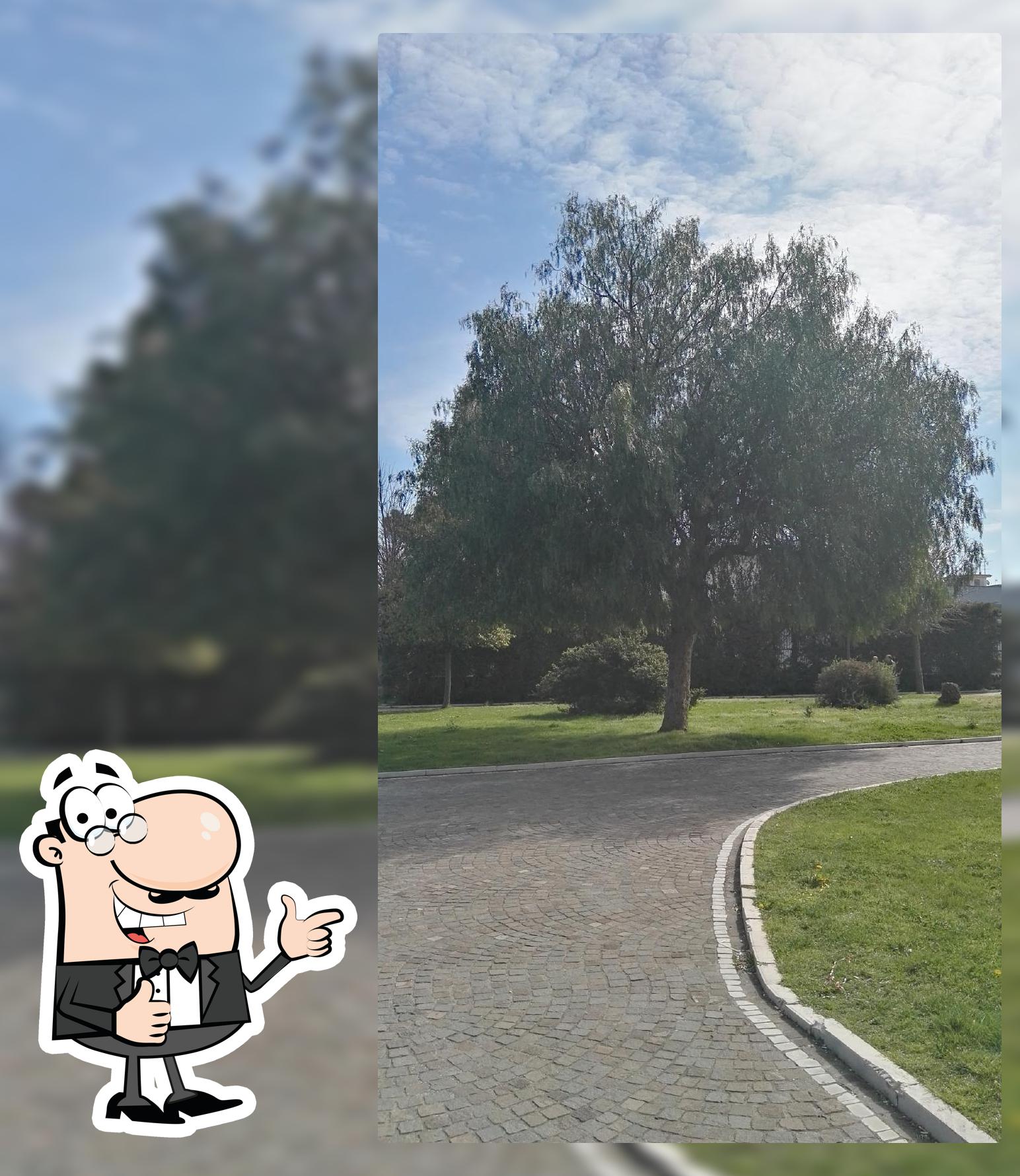 G & D Caffe' Di Giuseppe Festa - Gli Aromi del Caffè foto