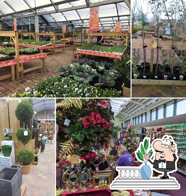 Garforth Garden Centre in Leeds Restaurant reviews