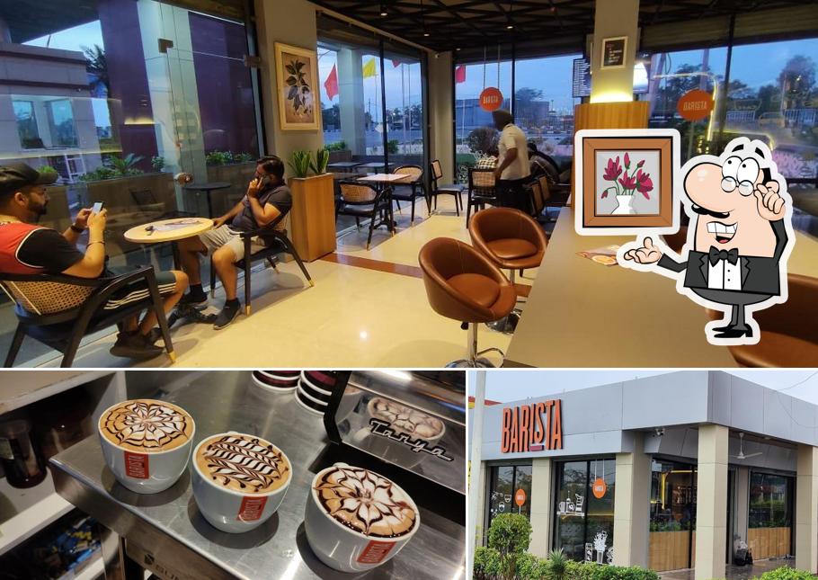 Barista Malout