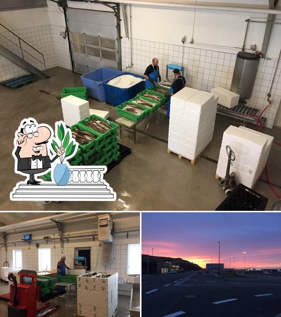 Skaka Seafood ApS - Hanstholm Frisk Torsk Hake & Fiskefiletter