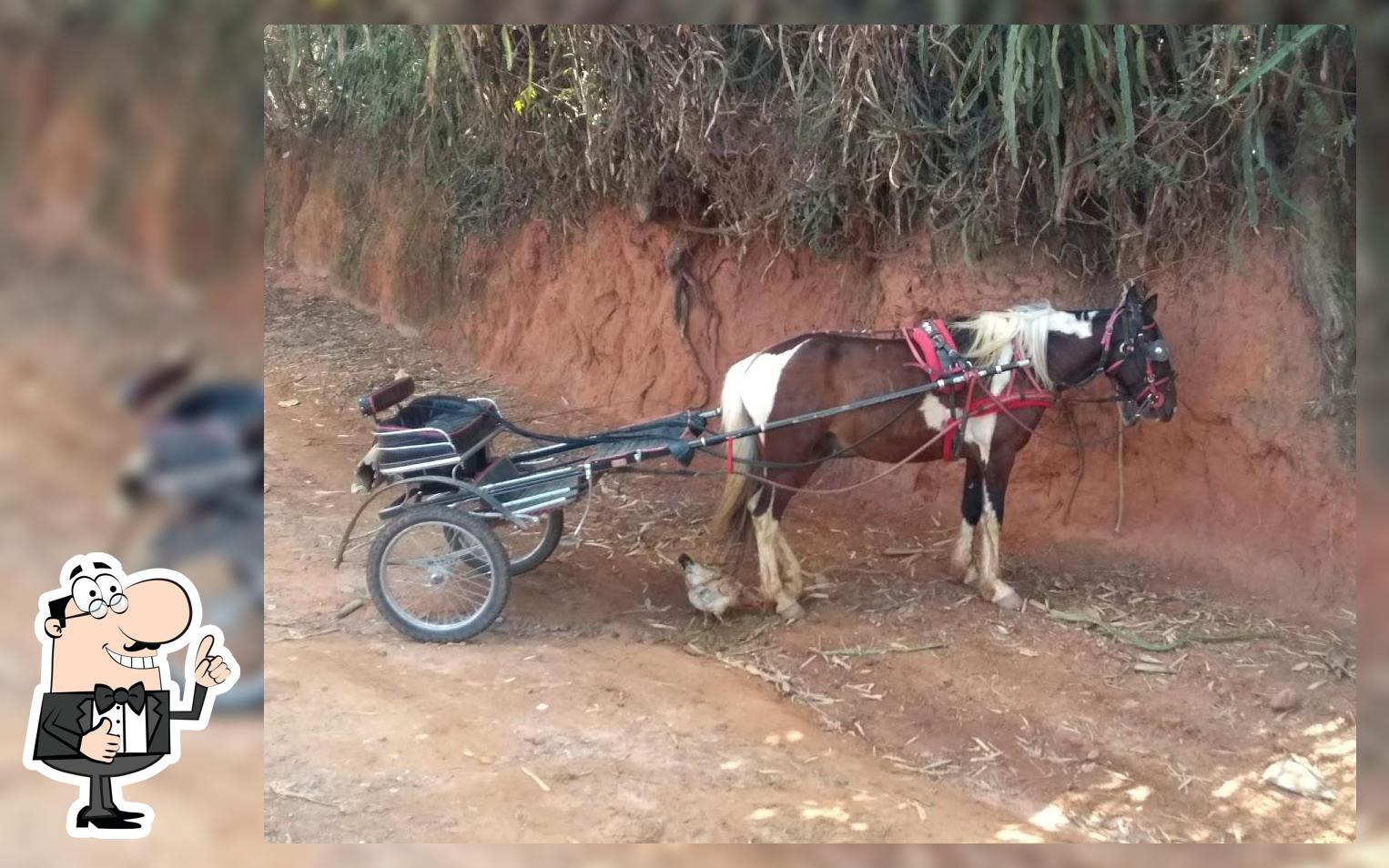 Bar do Português