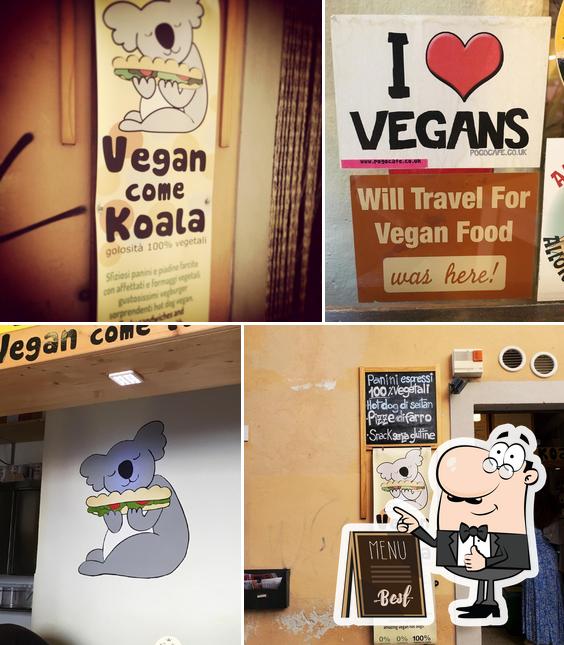 Voir l'image de Vegan come koala