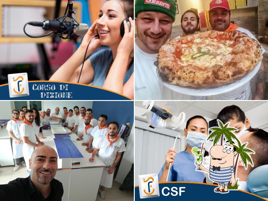 Vedi la immagine di CSF Centro Servizi e Formazione srl