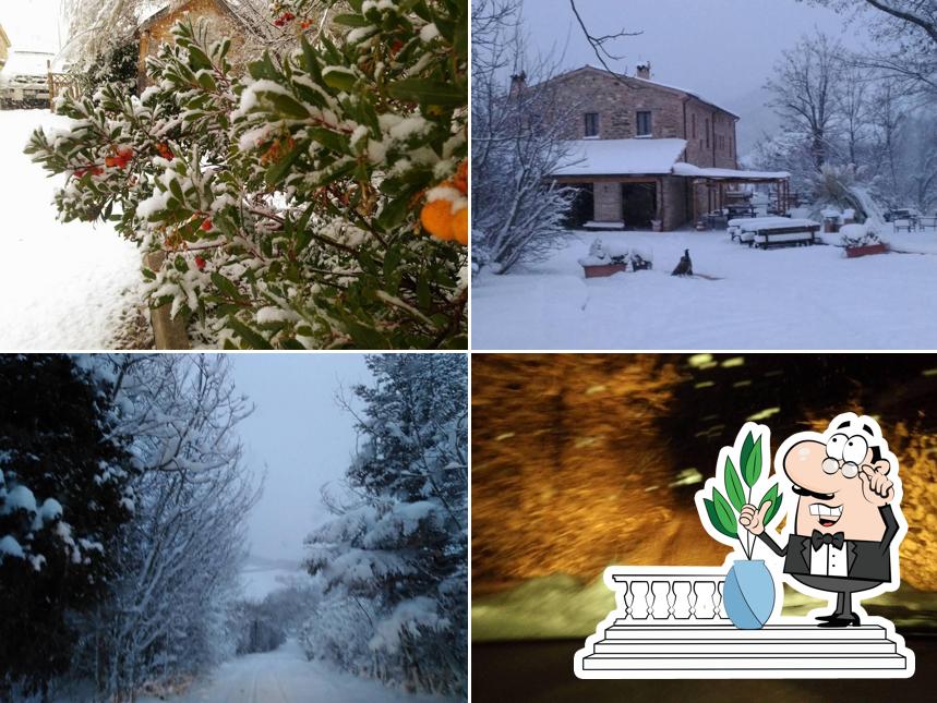 Le Blanc Matou Agriturismo