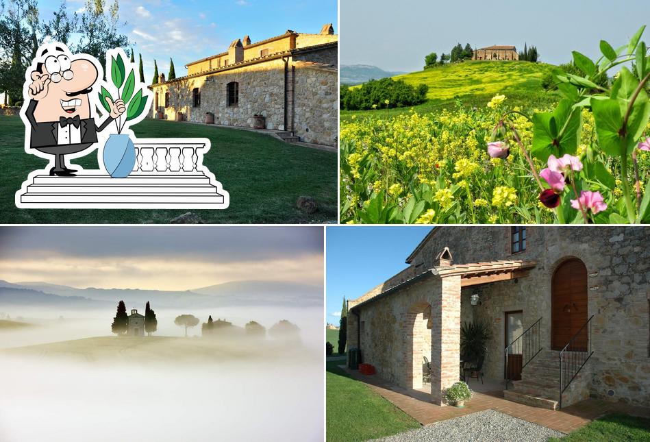 Guarda gli esterni di Agriturismo Bonello