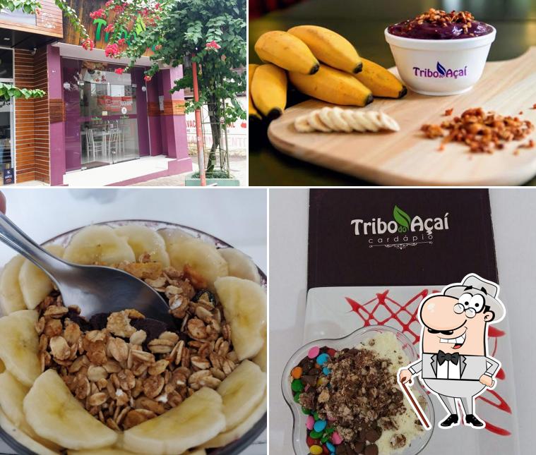 Tribo Do Açaí