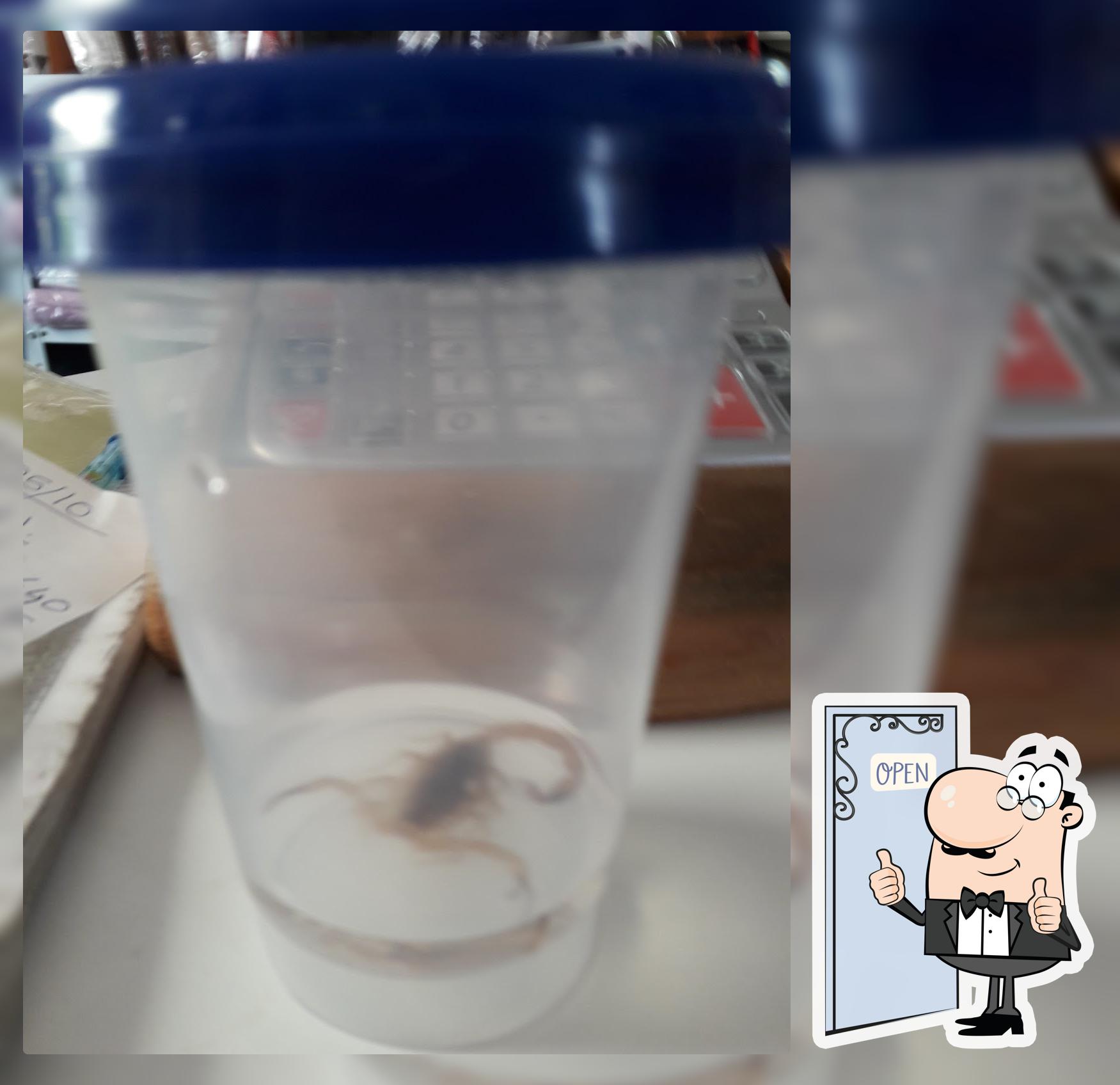 Scrat Gelateria e Cafeteria