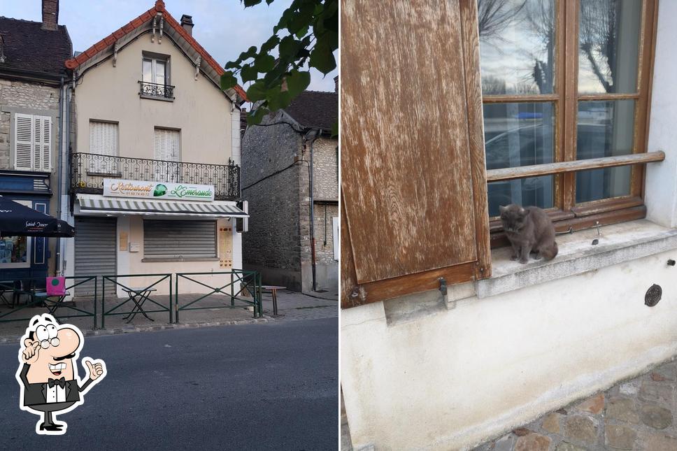 L'intérieur de L'Emeraude chez mousse