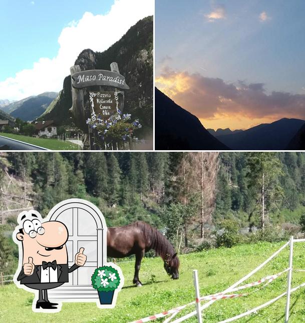 Goditi la vista dagli esterni di Maso Paradisi