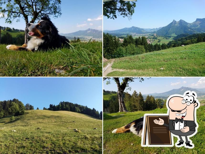 Puoi goderti l'aria fresca dal dehors di Cabane de Mongerons