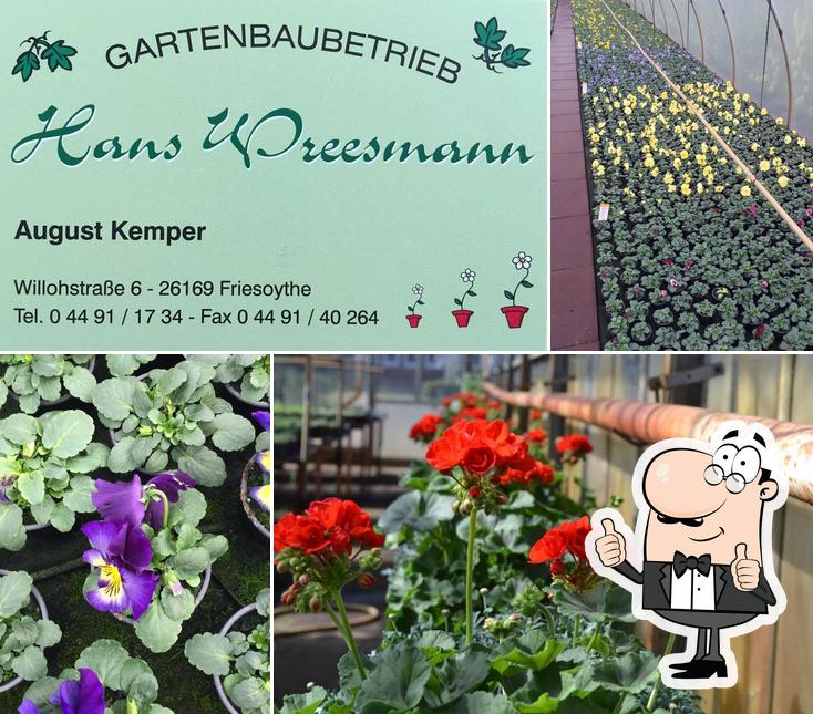 Gartenbaubetrieb Hans Wreesmann Gärtnermeister August Kemper