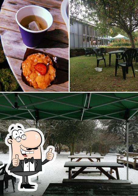 Oaks Park Cafe, Banstead - Restaurant menu, prices and reviews