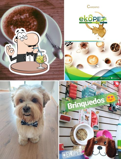 A ilustração do Ekopet Mogi’s bebida e interior
