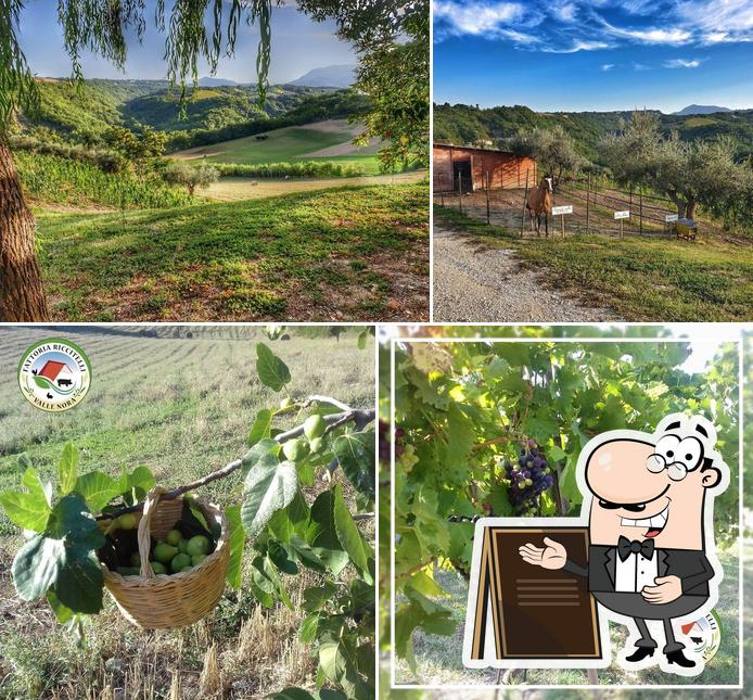 Gli esterni di Fattoria Riccitelli Valle Nora Vicoli