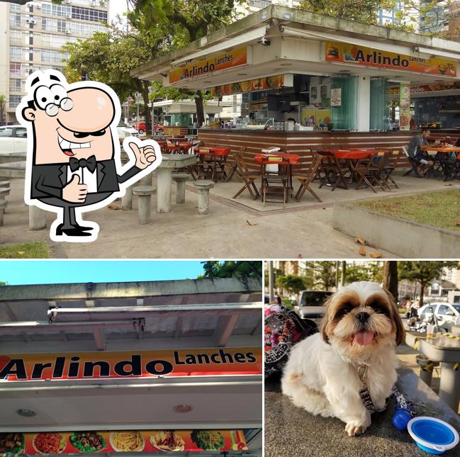 See this pic of Arlindo Lanches