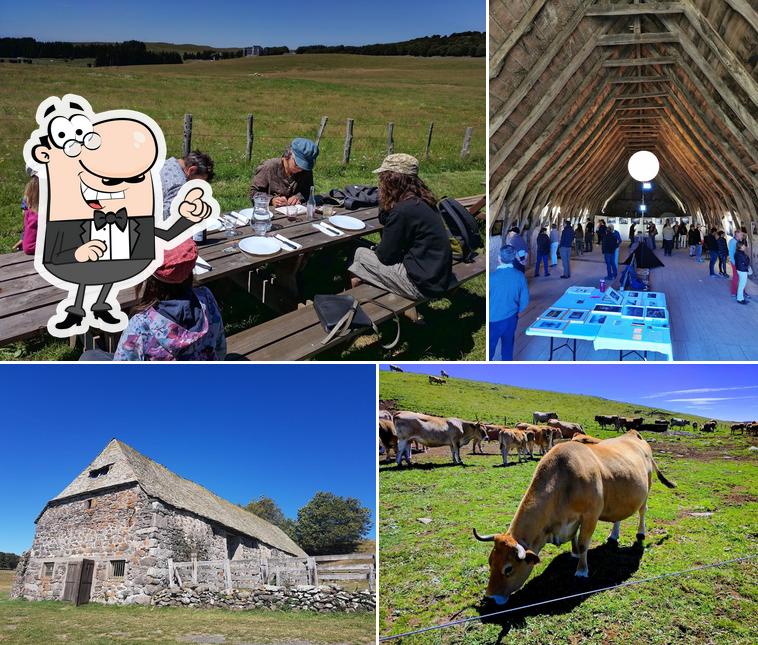 Buron des Bouals Aubrac