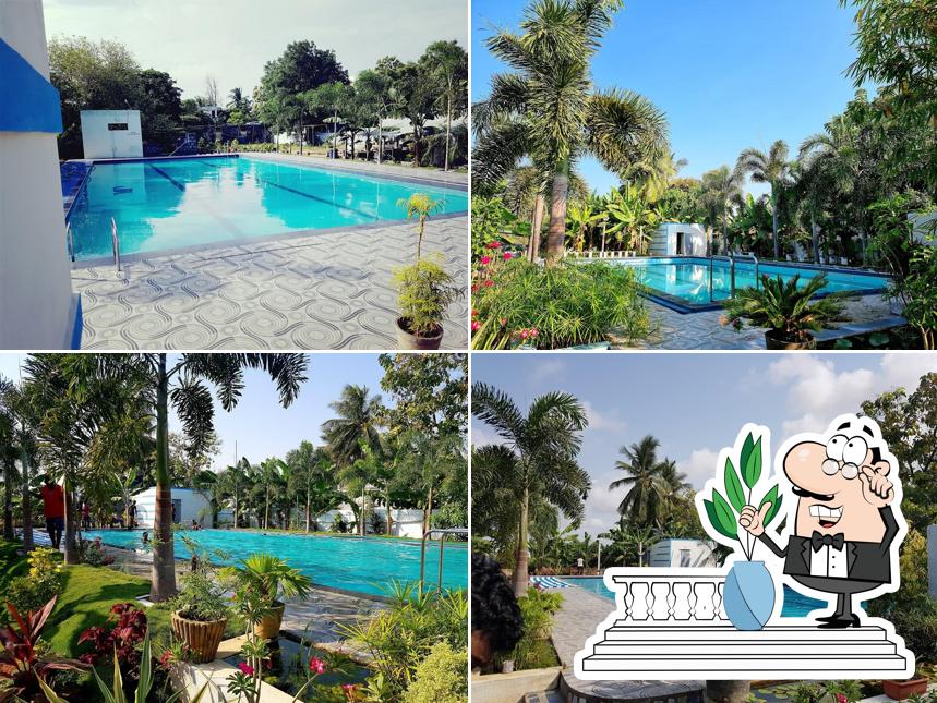 Pool Plaza VB Gardens
