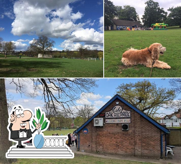 Oak Hill Park Cafe, Oak Hill Park Cafe, Parkside Gardens in