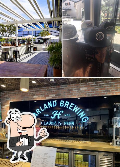 Check out how Harland Brewing looks outside