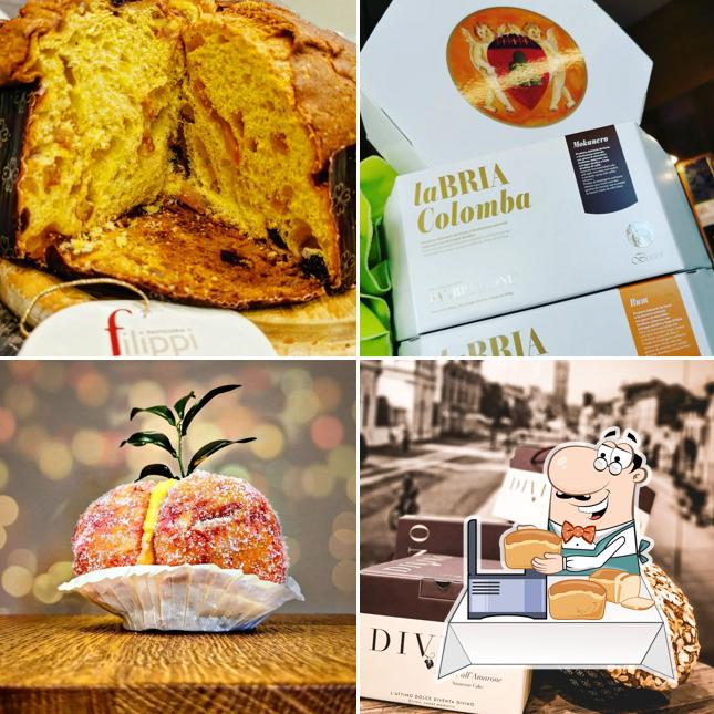 Jordan / Julia Monica