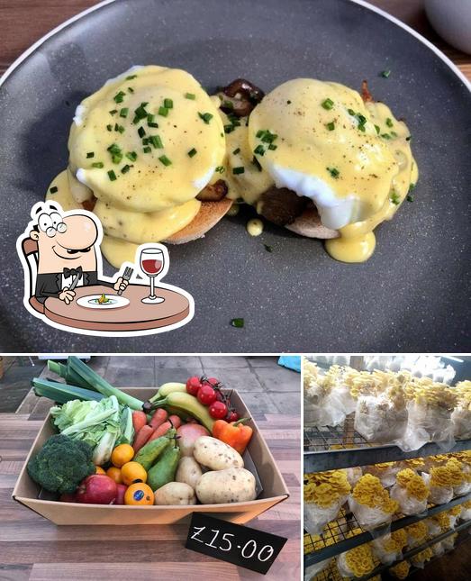Café Forest Fungi, Dawlish Carta del restaurante y opiniones