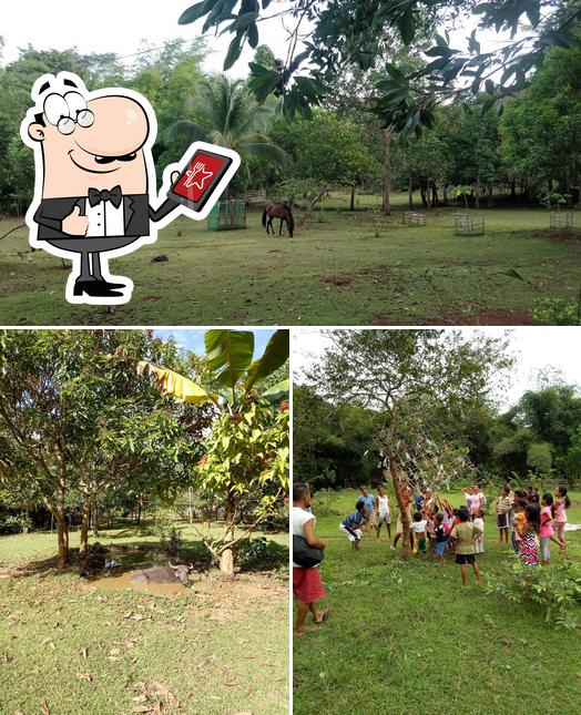 Garden of Eden restaurant, Busuanga Restaurant reviews