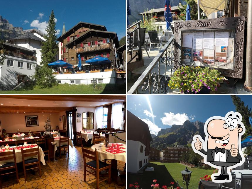 Regarder cette image de Alpina Hotel & Restaurant